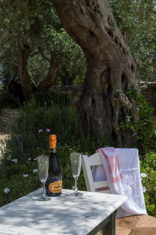 גאיוס Villa Elaia Suites & Apartments No.3 מראה חיצוני תמונה
